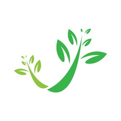 Leaf vector logo template