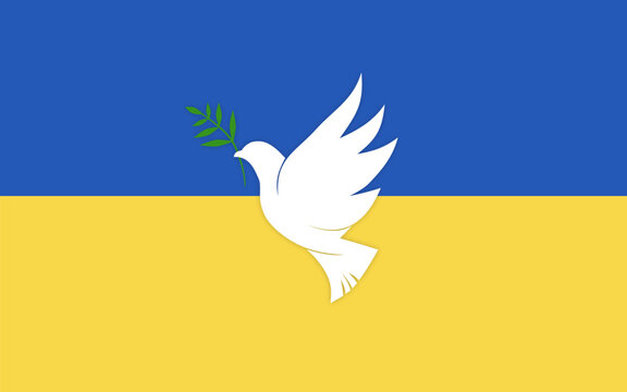White dove with olive branch on Ukraine flag. Ukraine and Russia military conflict.