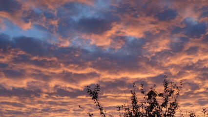 Rosy sky in Europe 4, sunrise, morning, red sky, pink sky