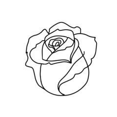 Line art of rose. Black isolated on white