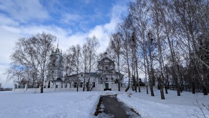 winter landscape with trees