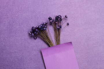Flores silvestres de color morado junto a un post it sobre un fondo violeta liso y aislado. Vista...