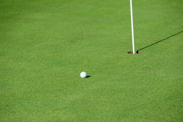 Hole cup and golf ball on the green of a golf course.