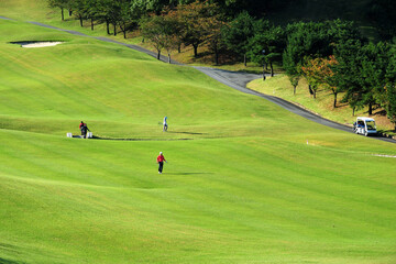 Obraz premium Korean amateur golfer play golf at the country club.