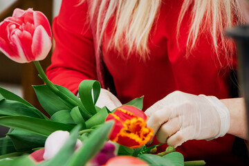 Woman florist makes bouquet of fresh tulips. Spring flowers in flower shop.