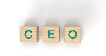 CEO position on wooden cube sign placed on white background.