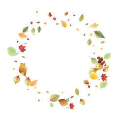 Leaves Falling Autumn Foliage Chaotic Leaf Flying