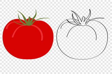 Tomato is a red vegetable for vegetarian food, flat cartoon vector illustration, childrens doodle coloring book for kids on a transparent background. A simple drawing of a product or packaging logo.