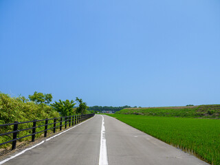 日本の田舎の道