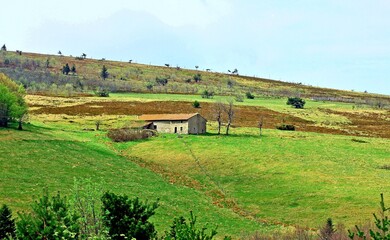 l&eacute;s monts du forez loire