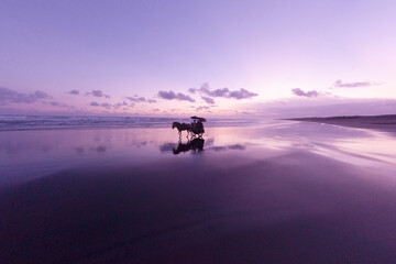 horse ride sunset on the beach