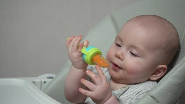 Infant nibble food on high chair Nibbler for kid feeding. Close up nice baby age of 7 months eats fruits by using nibbler.