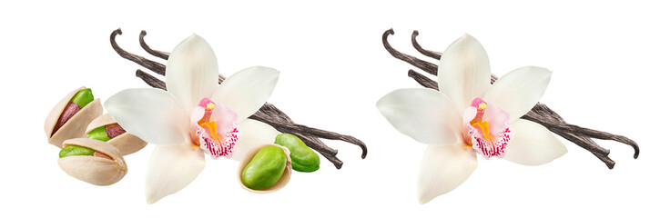 Vanilla flowers, beans and pistachio nuts set isolated on white background