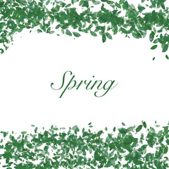 Green leaves texture. abstract spring background