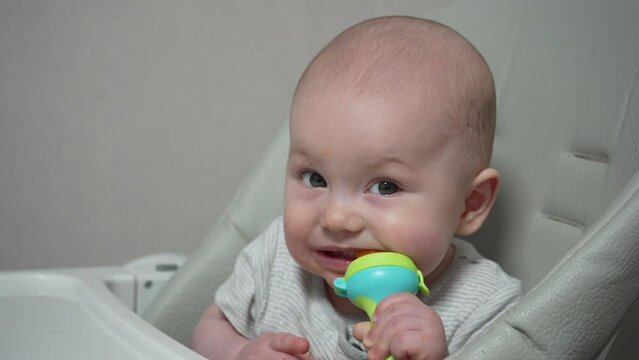 Infant nibble food on high chair Nibbler for kid feeding. Close up nice baby age of 7 months eats fruits by using nibbler.