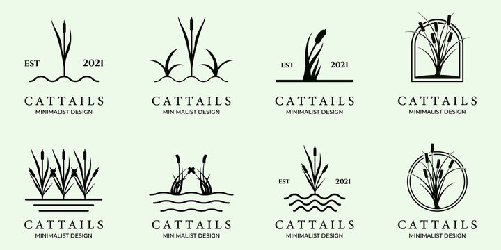 set of cattails or Cat tail line art minimalist simple vector logo icon illustration design creative