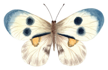 Watercolor Ukraine flag background.