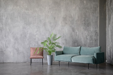 Modern interior design of the living room with a soft sofa and a green flower on the background of a concrete wall. Minimalist interior design.
