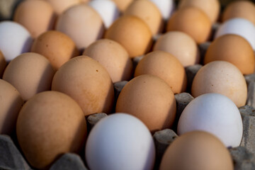 Jajka, Kurze jajka, zdrowe jajka, Jajka w pojemniku, jajka od zdrowych kur, kury z wolnego wybiegu, kolorowe jajka, eggs, healthy eggs,  © Follow the Sun