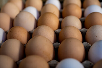 Jajka, Kurze jajka, zdrowe jajka, Jajka w pojemniku, jajka od zdrowych kur, kury z wolnego wybiegu, kolorowe jajka, eggs, healthy eggs,  © Follow the Sun