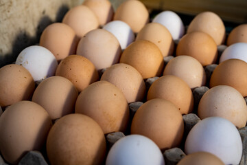 Jajka, Kurze jajka, zdrowe jajka, Jajka w pojemniku, jajka od zdrowych kur, kury z wolnego wybiegu, kolorowe jajka, eggs, healthy eggs,  © Follow the Sun