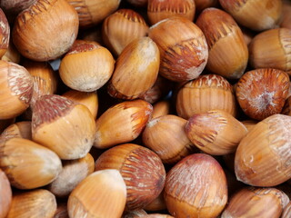noisettes