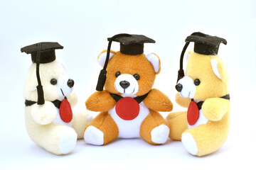 Isolate three teddy bears doll with graduation hat on white background