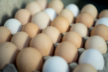 Jajka, Kurze jajka, zdrowe jajka, Jajka w pojemniku, jajka od zdrowych kur, kury z wolnego wybiegu, kolorowe jajka, eggs, healthy eggs,
