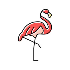 flamingo bird in zoo color icon vector illustration