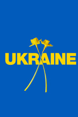 gelbe Narzissen vor blauem Hintergrund zur Unterstützung der Ukraine / der Fotografen-Anteil vom...