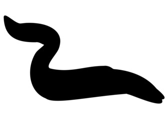 Large eel fish. Vector image.