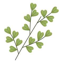 Fototapeta premium branches with leafs