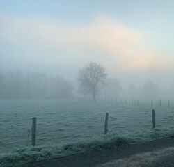 brume au petit matin en hiver
