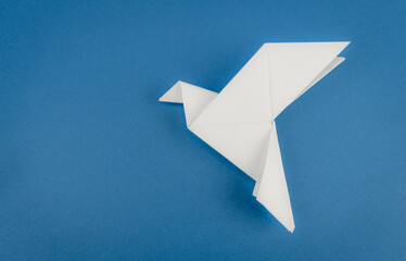 Biały gołąb  origami na niebieskim tle.