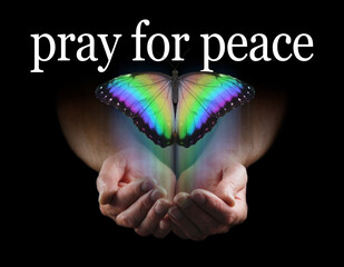 Pray for Peace Butterfly Release Concept - male cupped hands emerging from black background with a beautiful multicoloured butterfly rising up and the words pray for peace above
 - obrazy, fototapety, plakaty