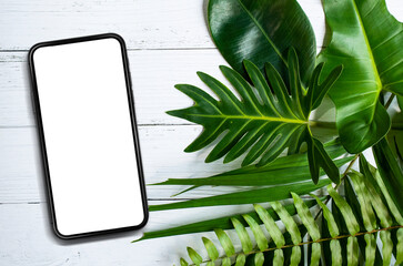 Smartphone with blank screen. Top view with copy space