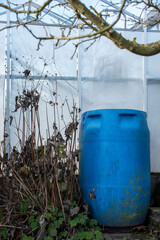 Blue rain barrel next to a greenhouse in winter