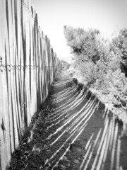 chemin ombrag&eacute;