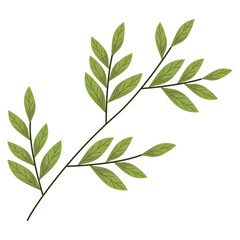 branches with leaves