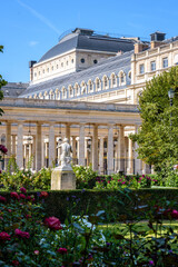Fototapeta na wymiar Palais-Royal garden in Paris, France.