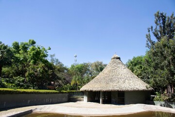 thatched cottage