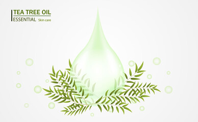Tea tree oil drop of essential oil. Vector illustration.