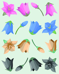 Small collection of colorful campanula flowers; pink, blue, yellow and gray bluebell flowers for banners, invitations, weddings, postcards and other design. - 489245403