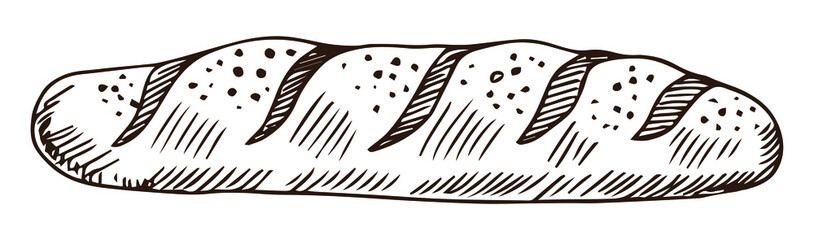 French baguette hand drawn outline doodle icon. Bread loaf vector sketch illustration for print, web, mobile and infographics isolated on white background.