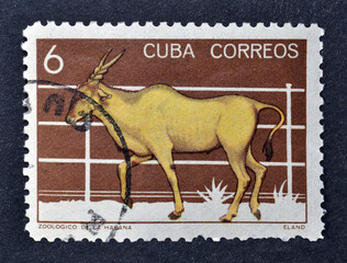Cancelled postage stamp printed by Cuba, that shows Eland, circa 1978.