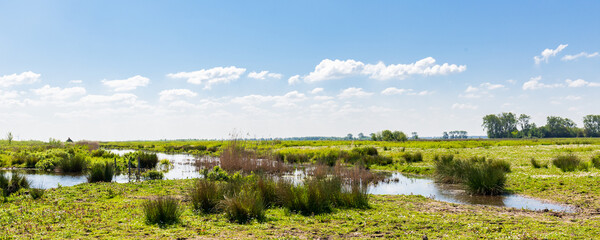 Landscape of island and nature reserve Tiengemeten Hoeksche Waard n South Holland in The...
