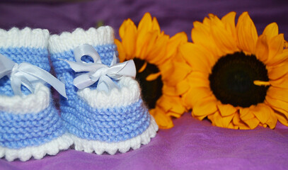 Obraz na płótnie Canvas Blue booties for a boy on a background of yellow sunflowers