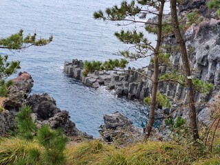 대한민국 제주특별시 서귀포시 대포주상절리