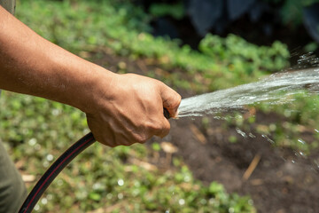 Hand holds the rubber hose by pressing the hole with the thumb to spray water in the garden,...