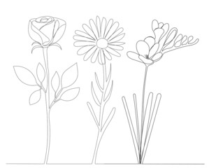 flowers drawing in one continuous line, isolated